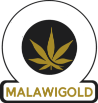 The Malawi Gold Cannabis Cooperative